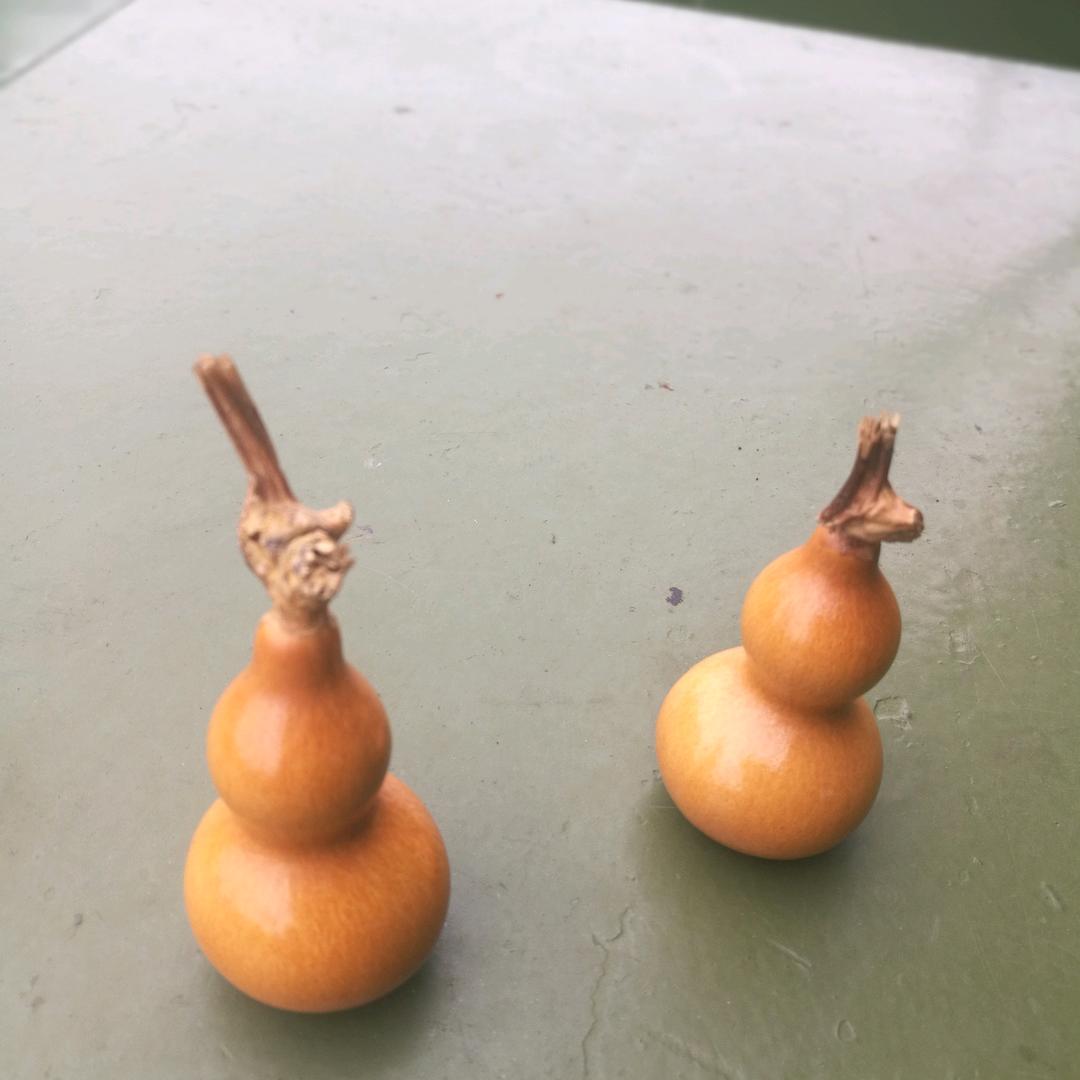 陳學飛