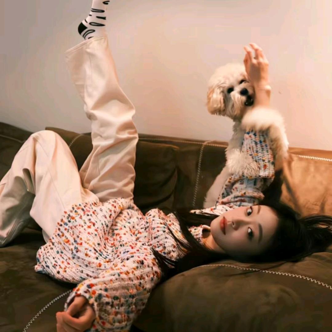 Ⱄⱄᐝ沙发土豆 🛋️