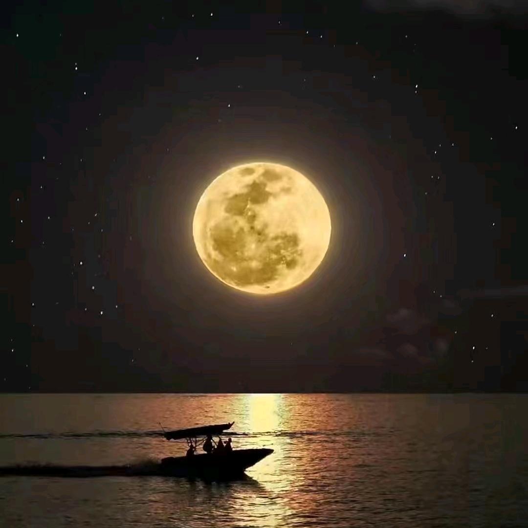 陈 栋