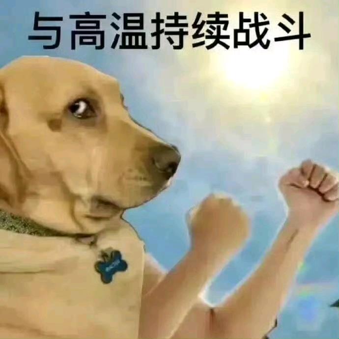 来点小歪拌饭