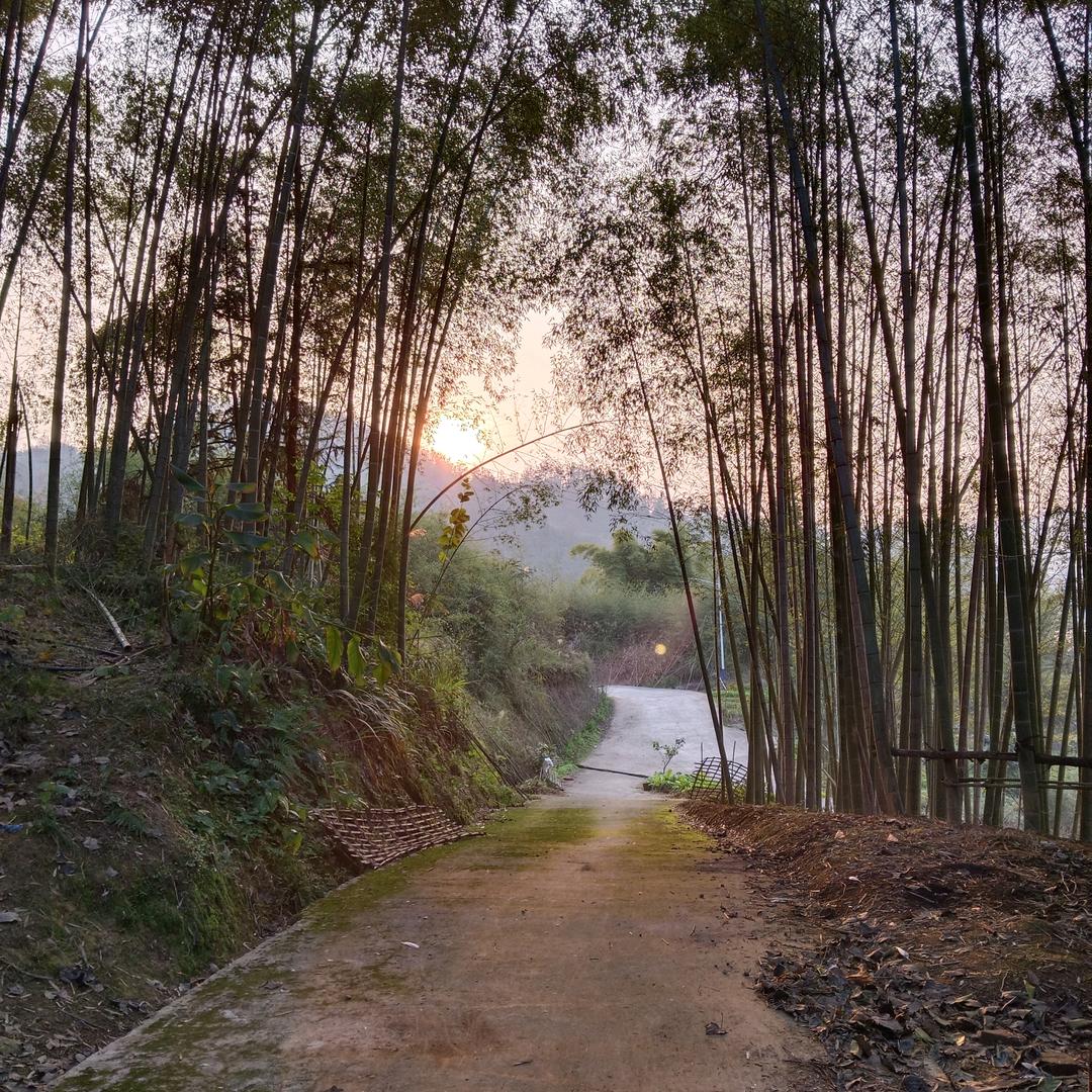 夏雨凉夏雨凉夏