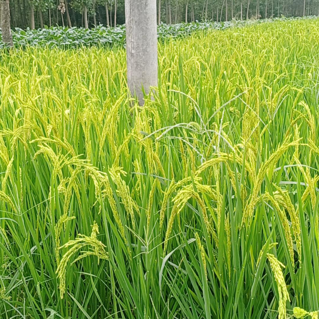 开心每一天🤗🤗🤗