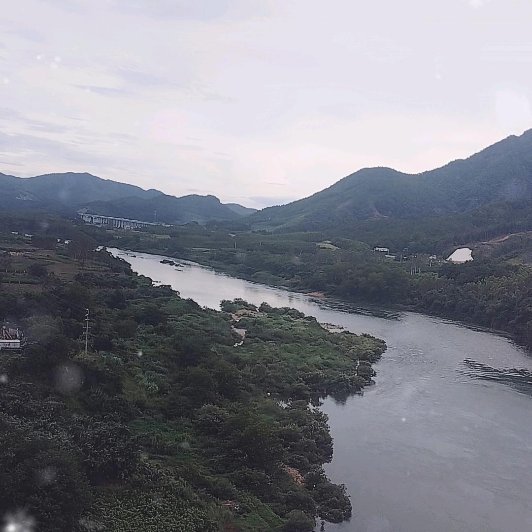 欢迎老大