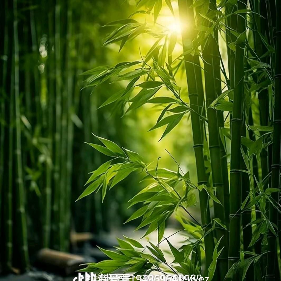 拾起自己