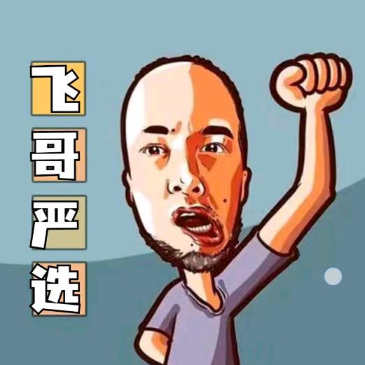 飞哥严选