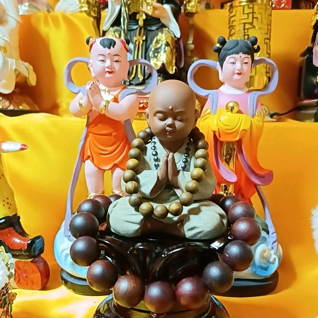 ②龙宝二宝🍬糖宝(万家灯火结善缘)