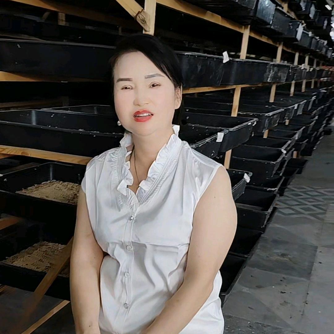 绿涛农业养殖