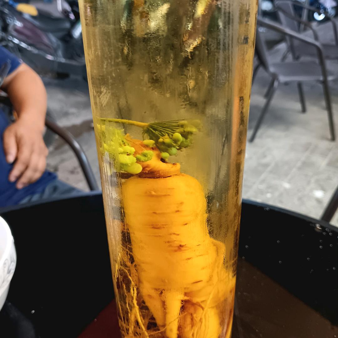理你托绝