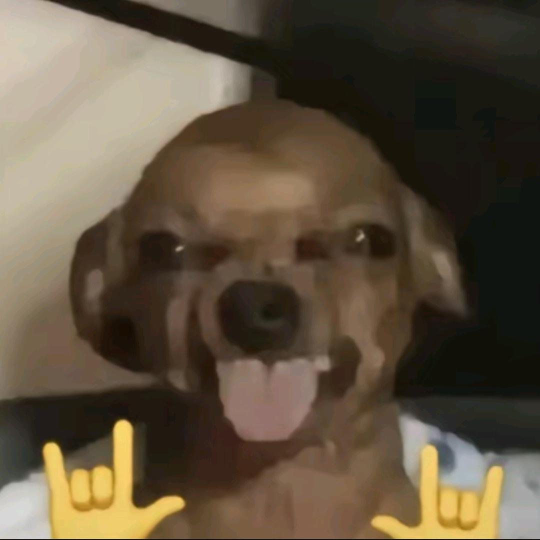 我也不知道该回什么