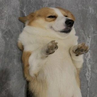 t小赫