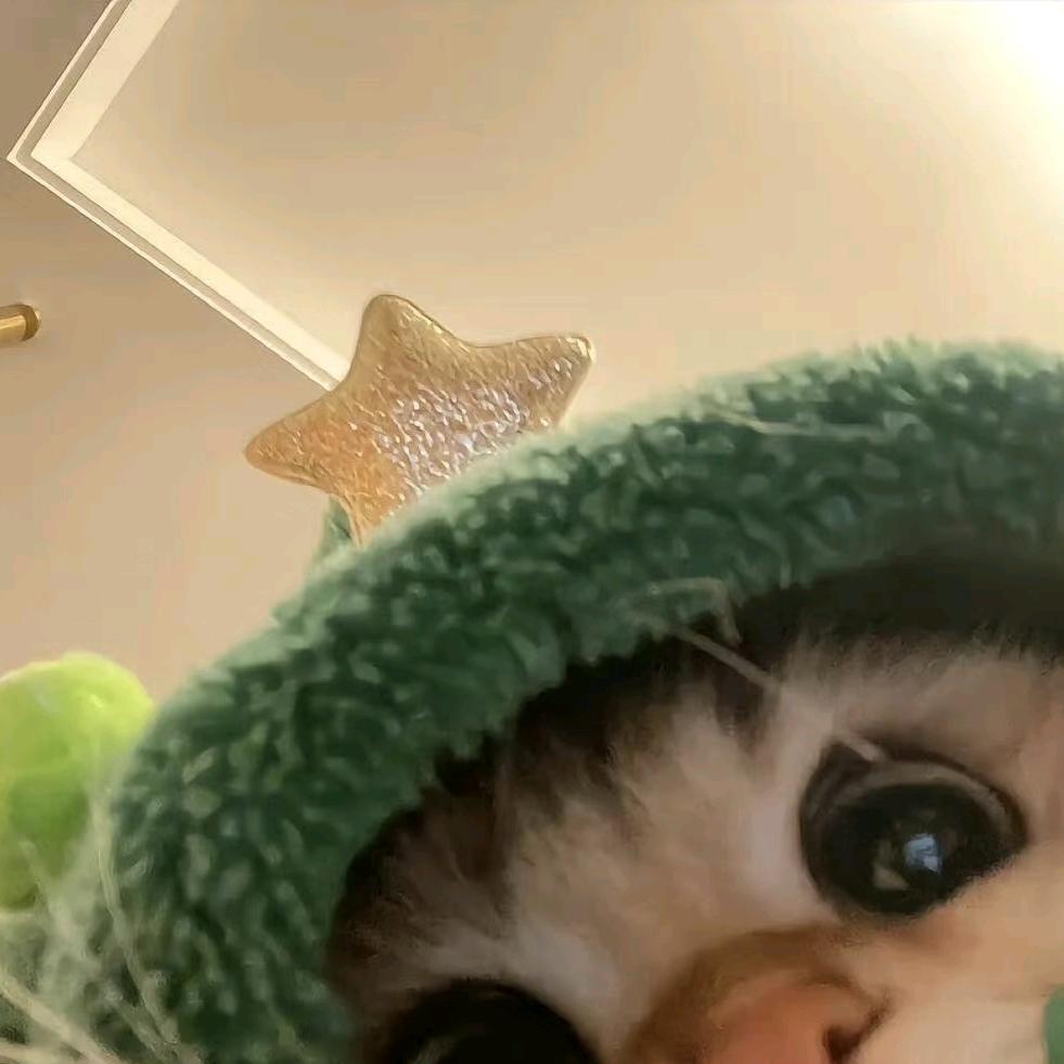 一直是你的八戒哥哥🐷