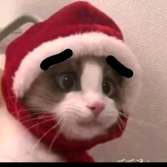 揺月