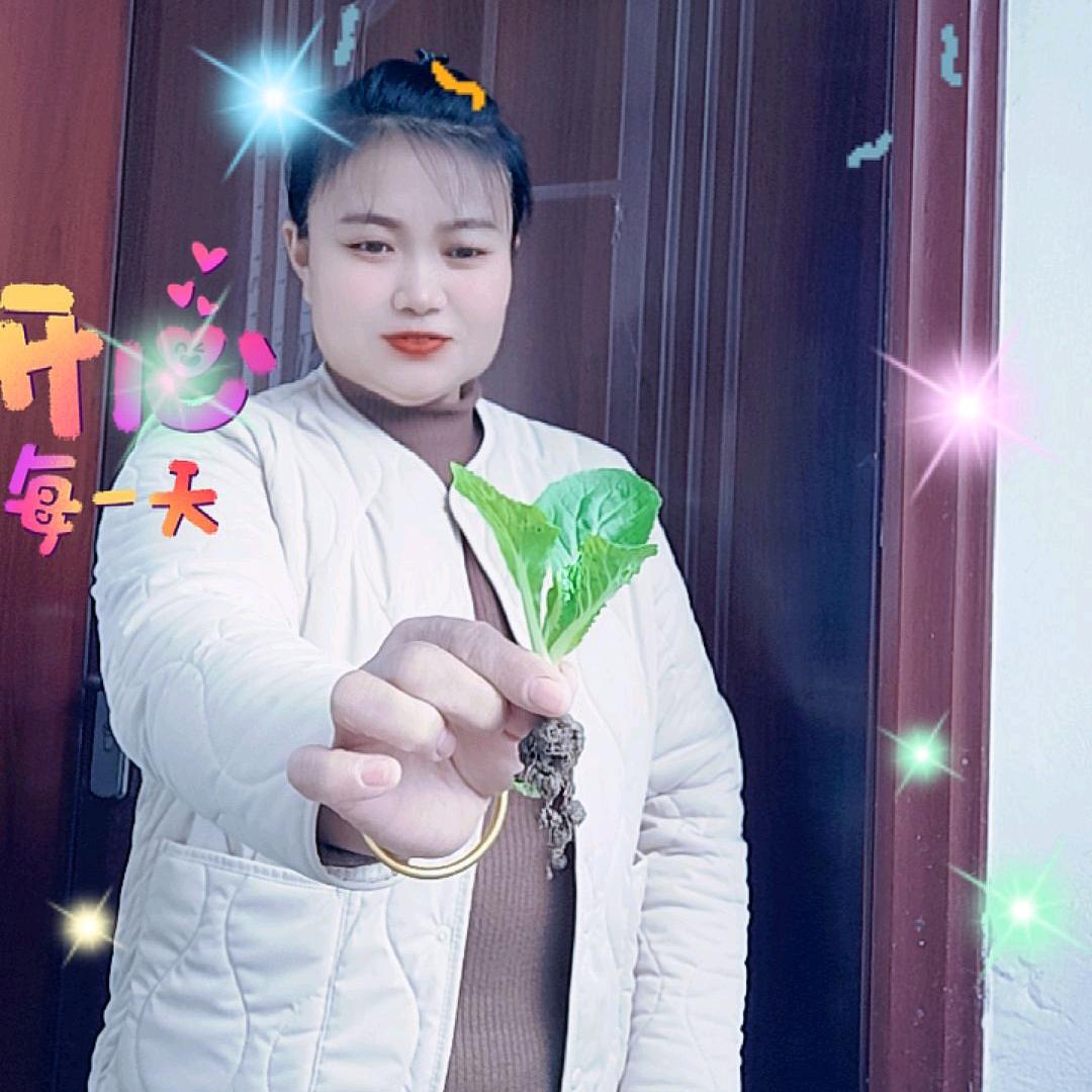 🌺金🌺老🌺幺🌺