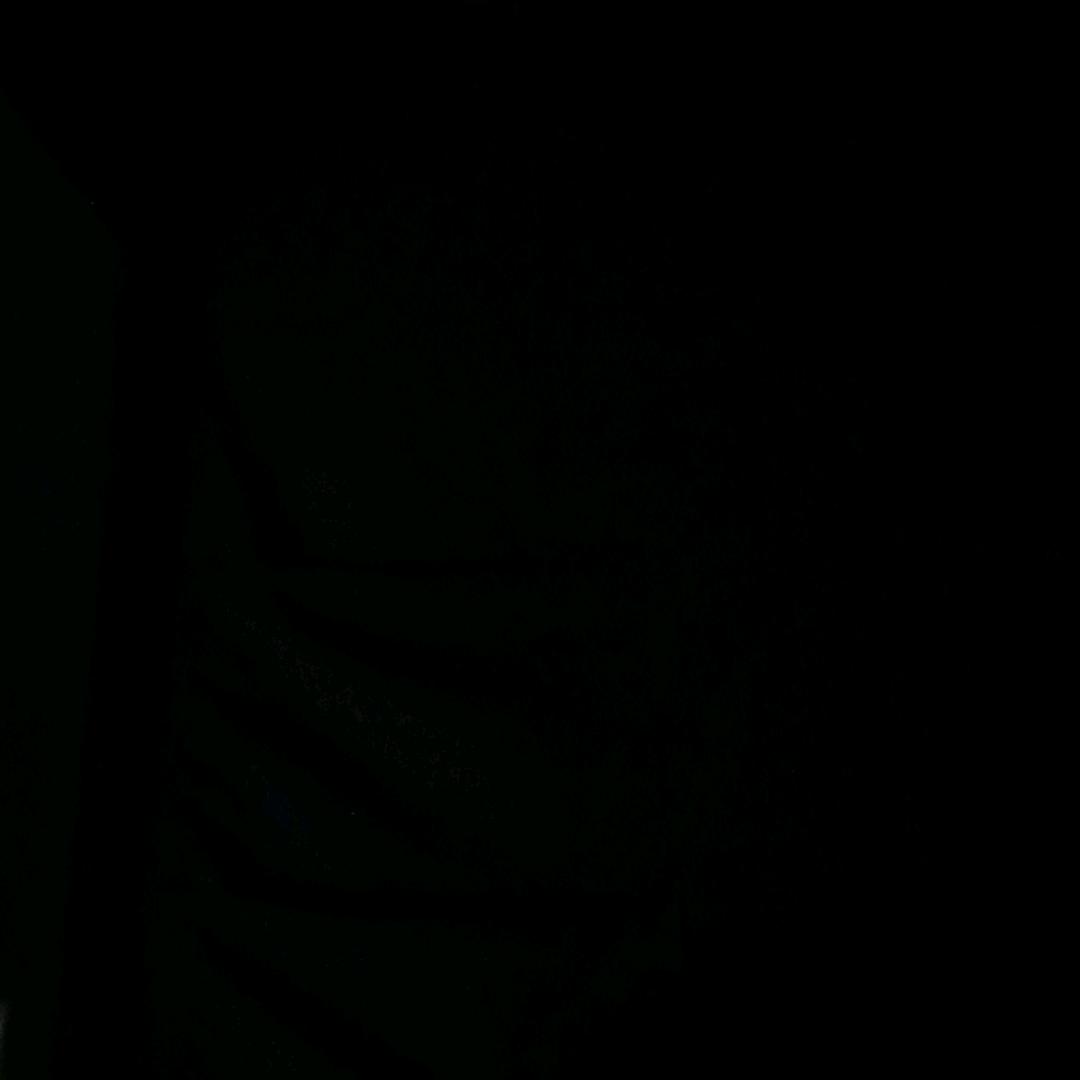 坚果哥