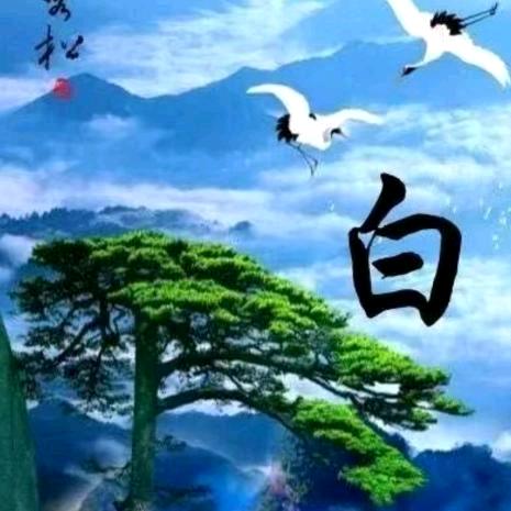 沉默，！❤️
