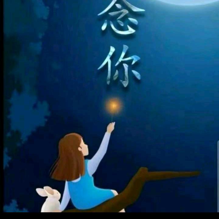琴琴