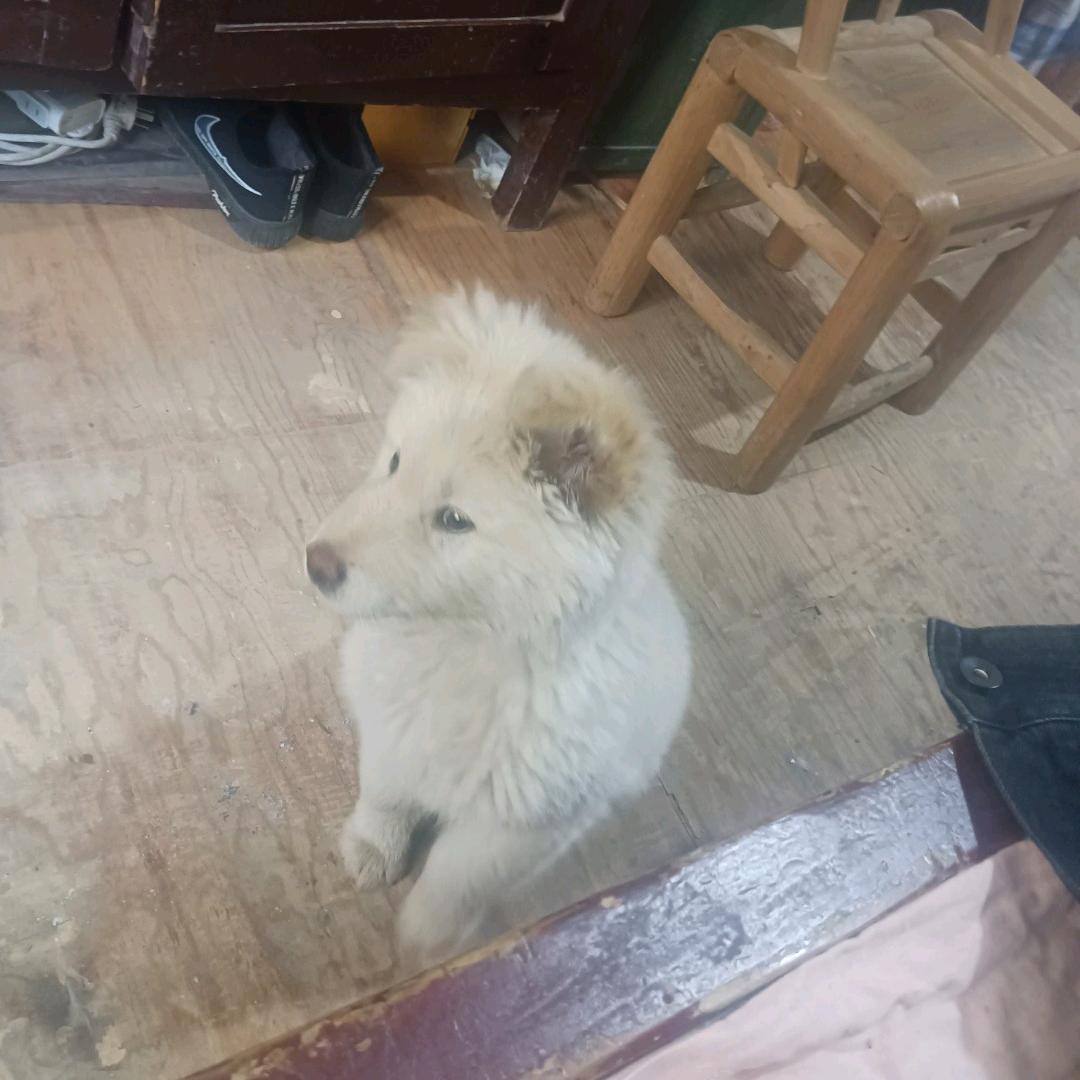 还款百万的上岸日常