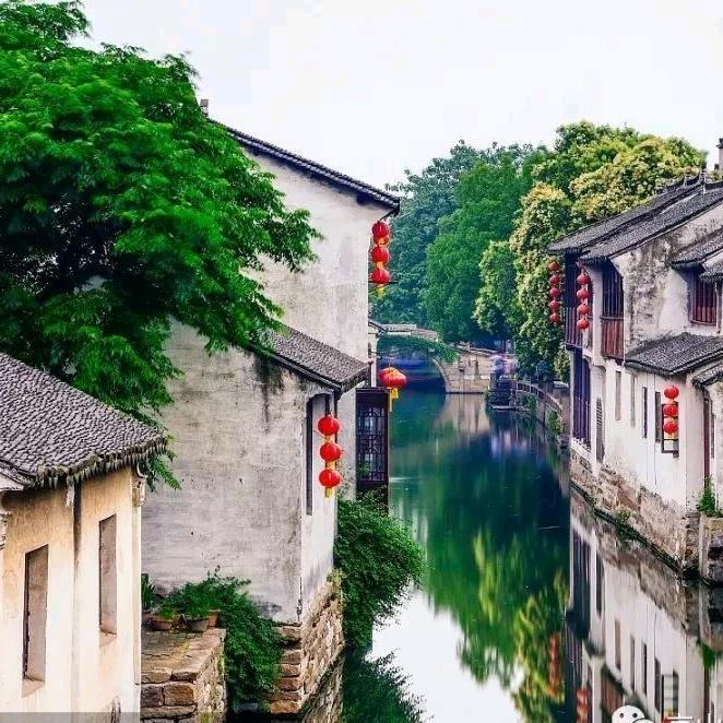 🍀竹🌻间🌺露❤️