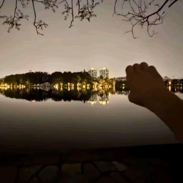 不吃耗子的老鼠