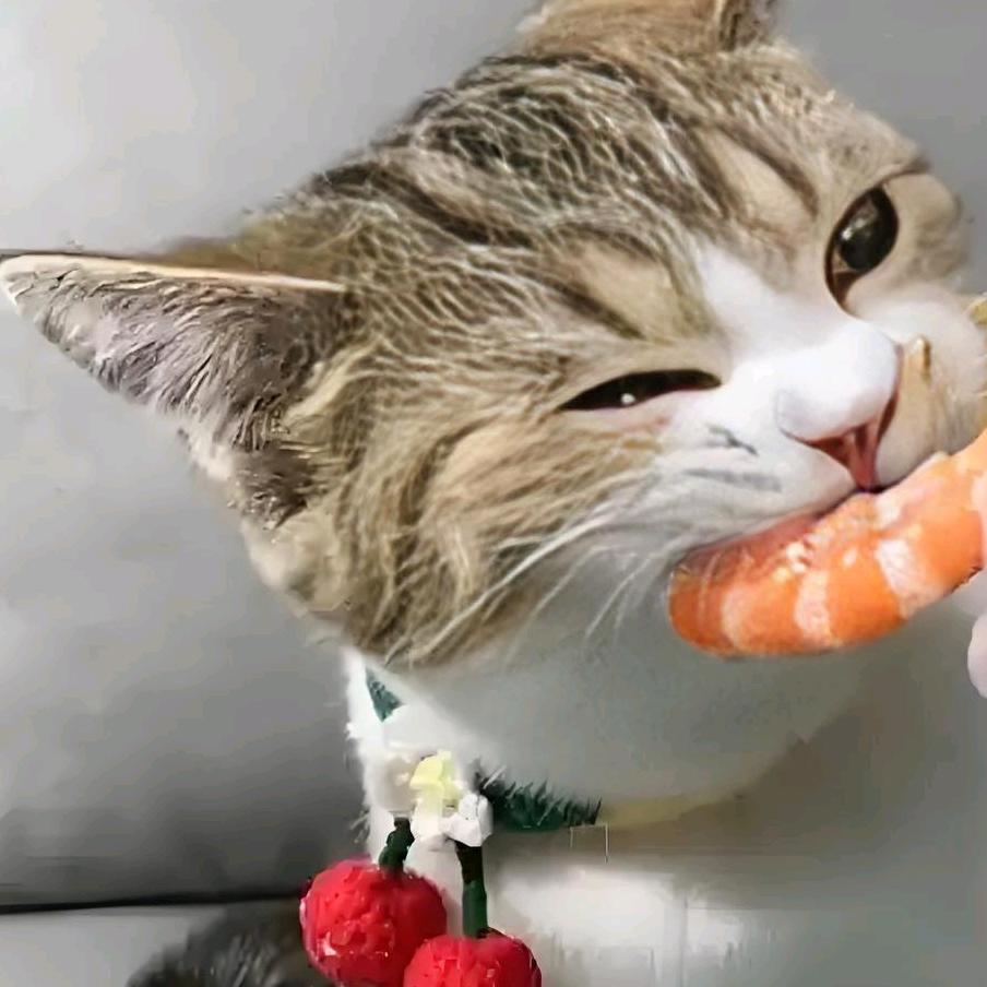 ༻爱吃虾De狸花猫༗༇