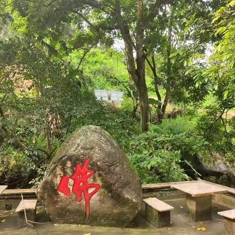 释延松