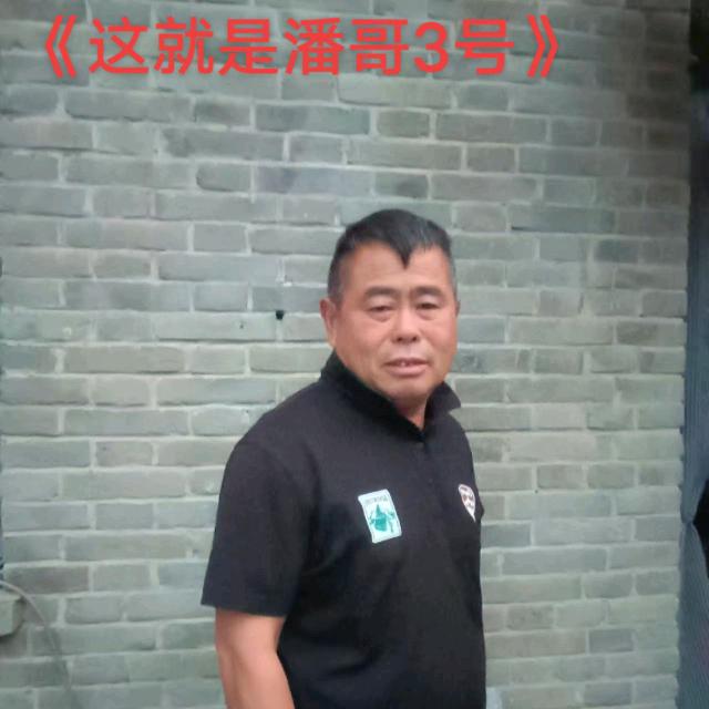 潘哥3