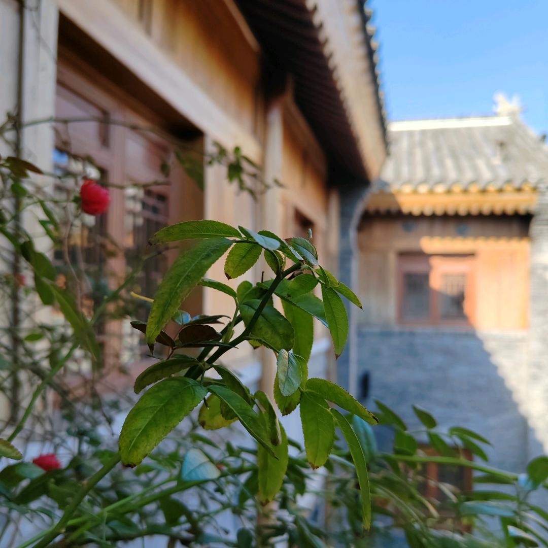 赏沂州（琅琊古城店）-嘿呦
