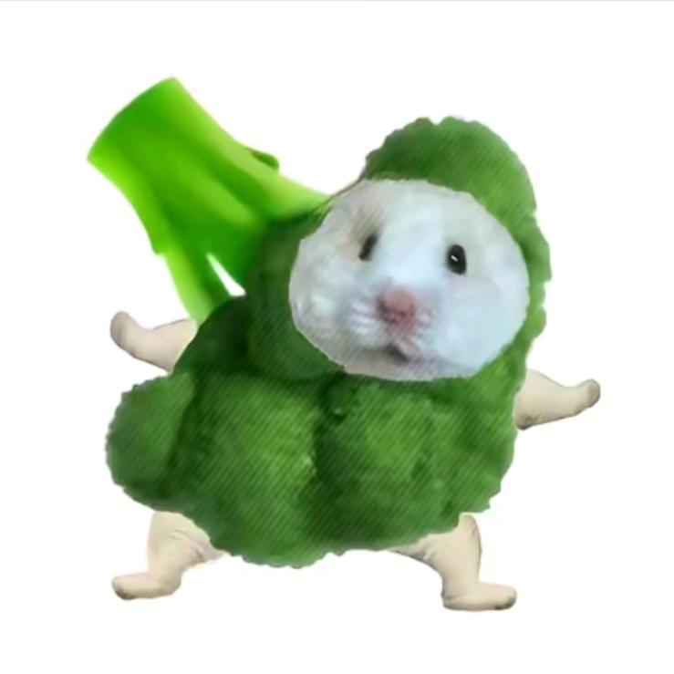 烊zzz.（见过千玺版）