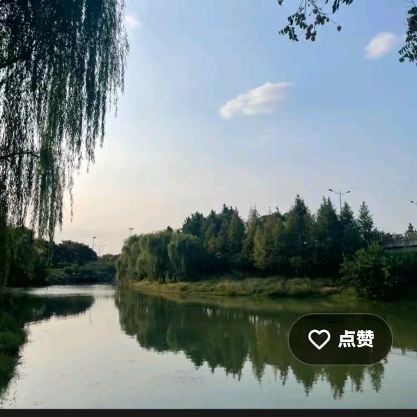 丰盛园333