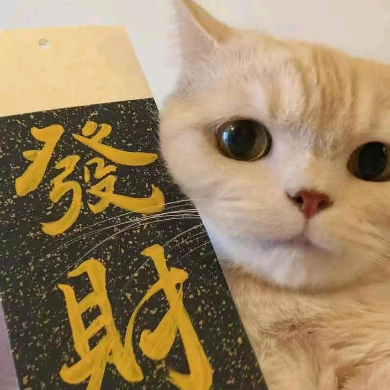 紫润健子