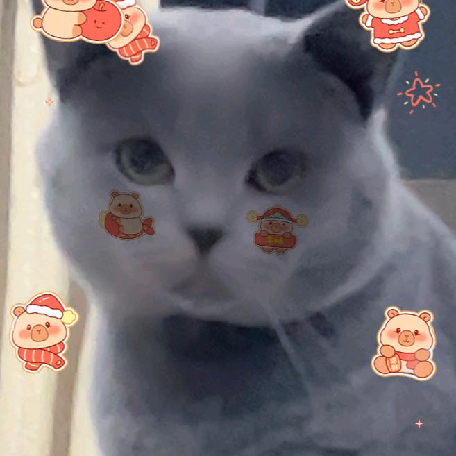 玲。玲