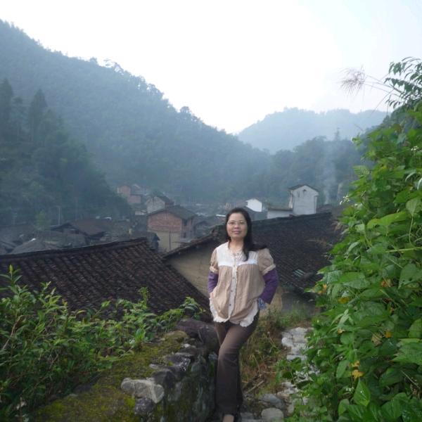山里姑姑绿植
