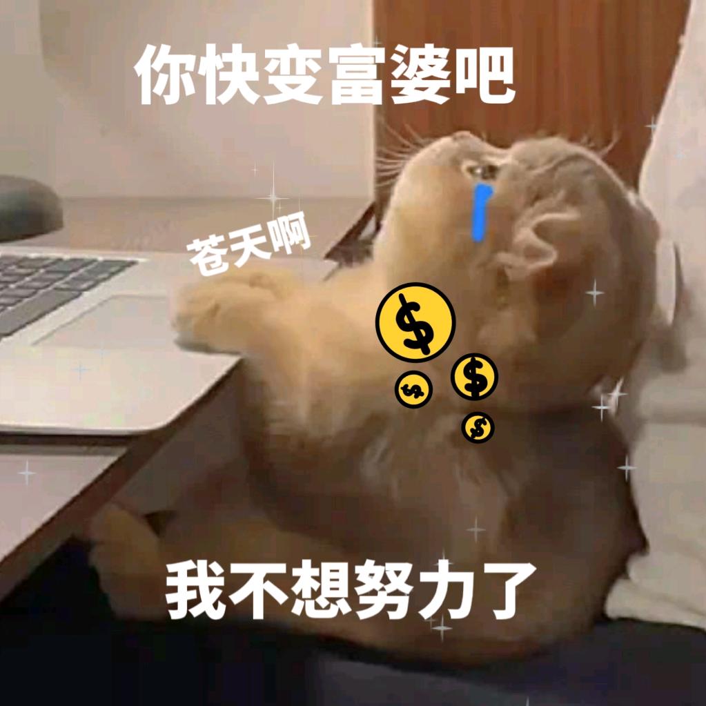 去码头整点薯条