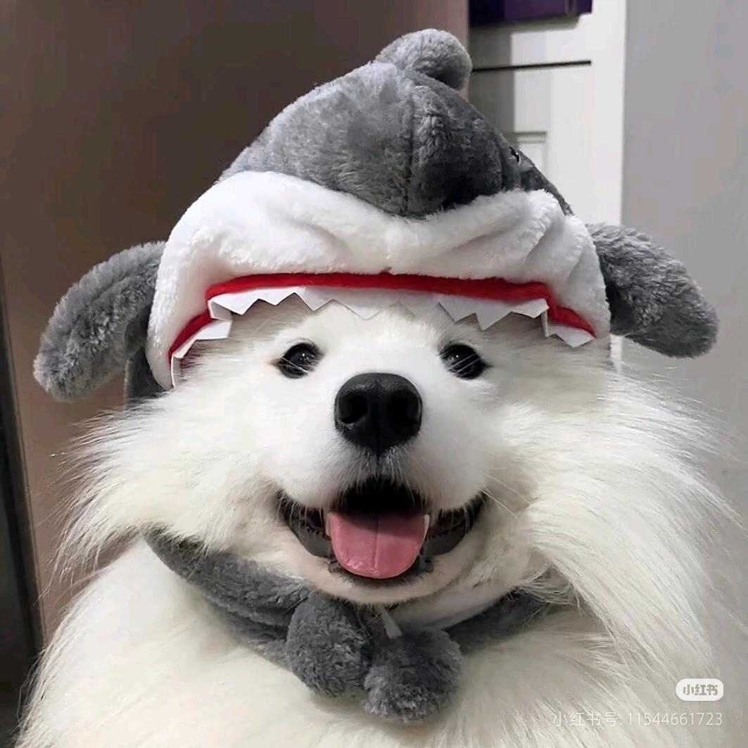 落日