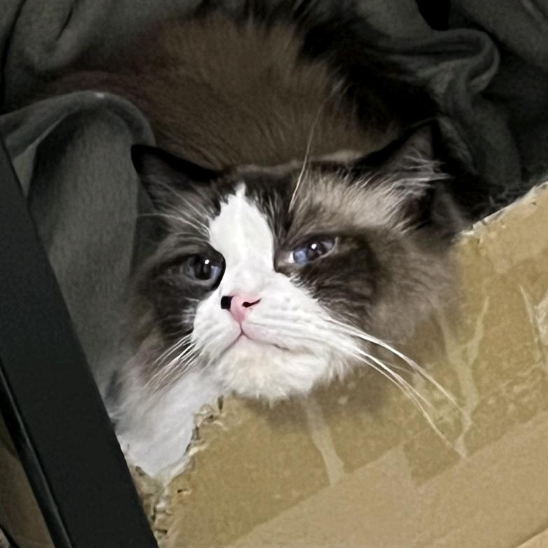 一根没有感情的网线