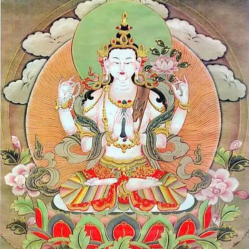 禅心静莲