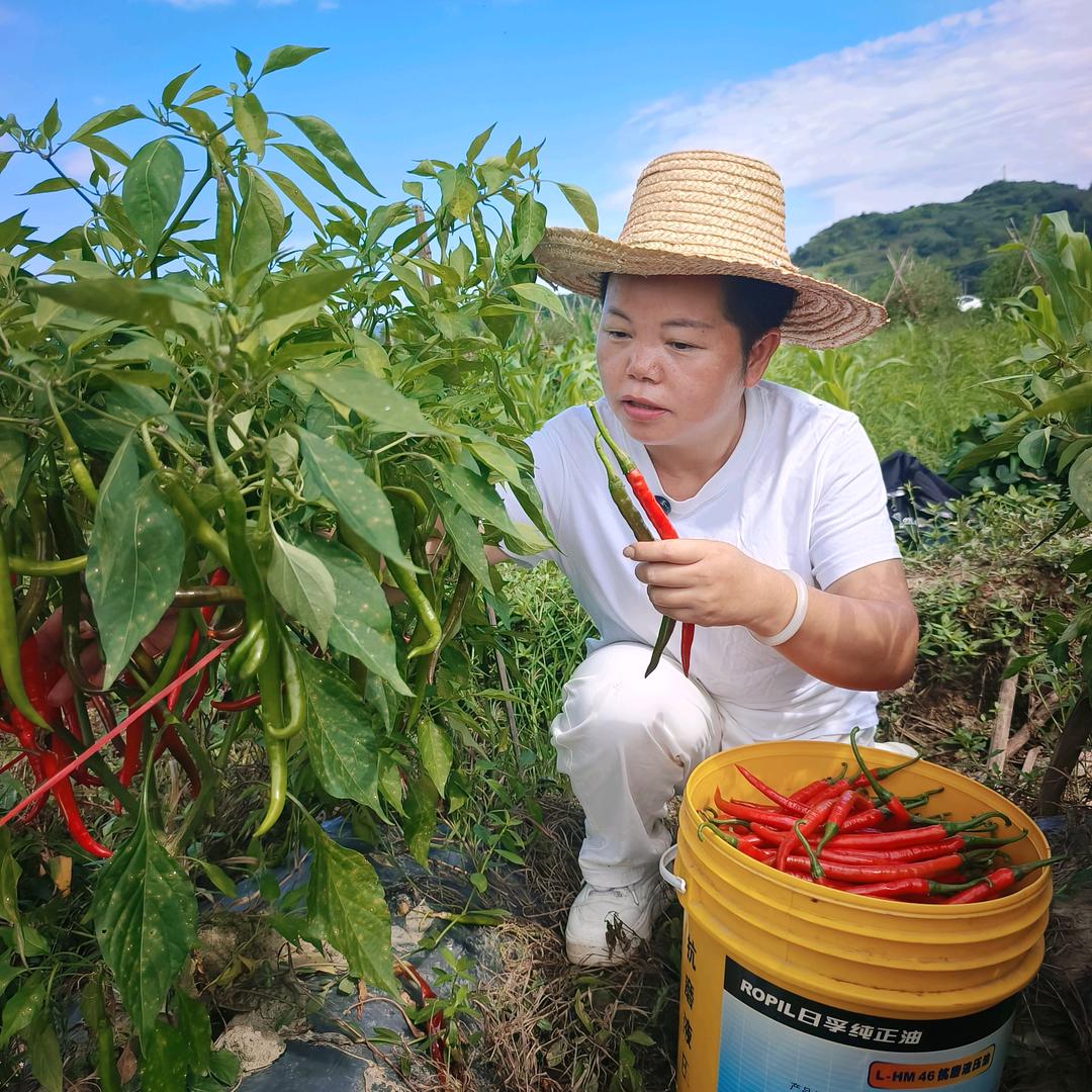 贵州农家山货