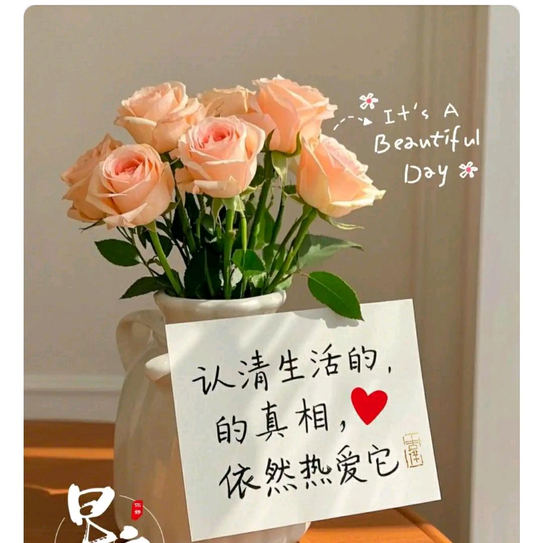 红豆包