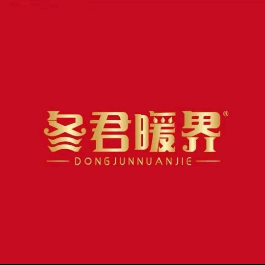 冬君暖界取暖炉