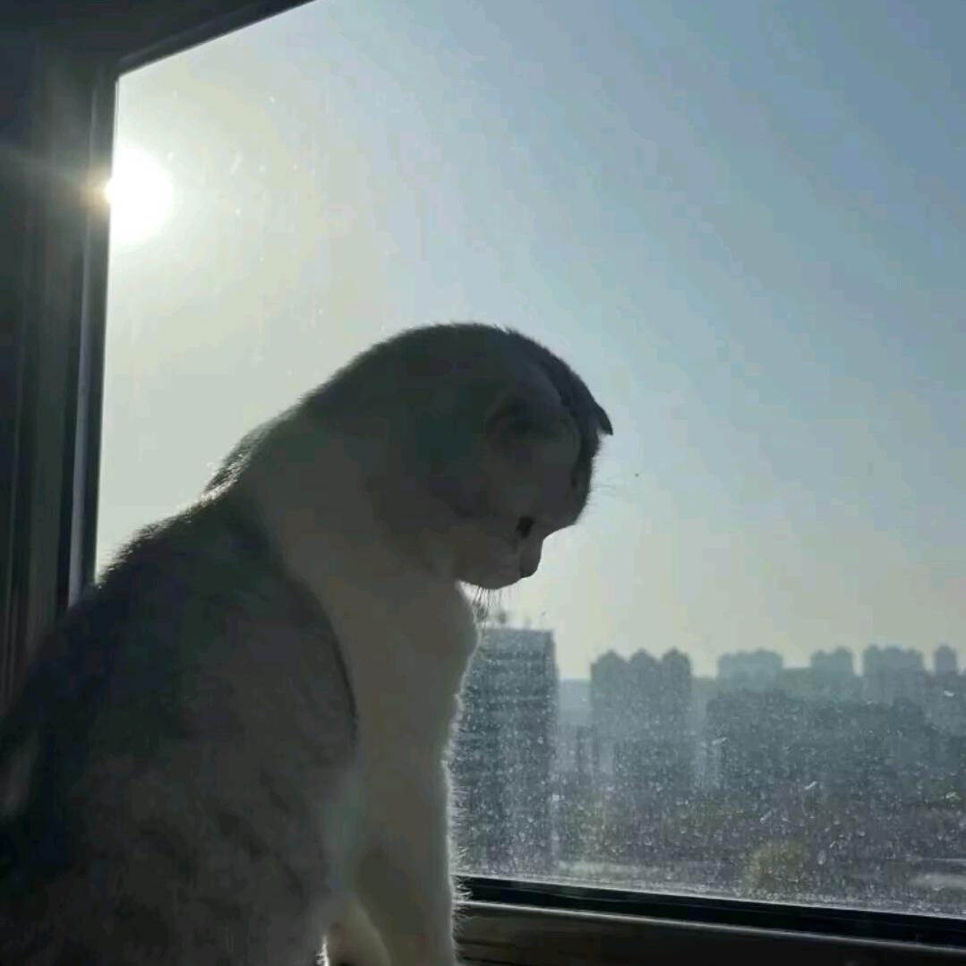 小祁.