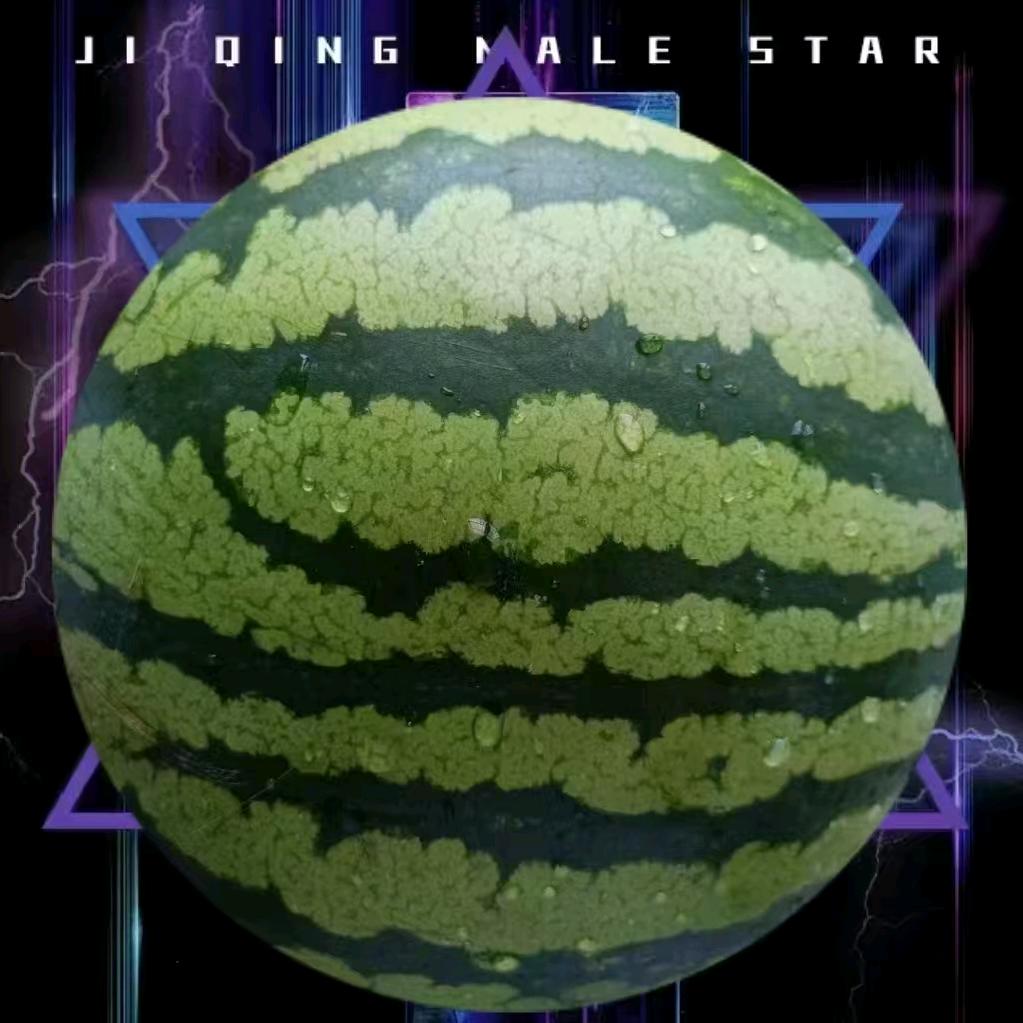 𝓲.西瓜