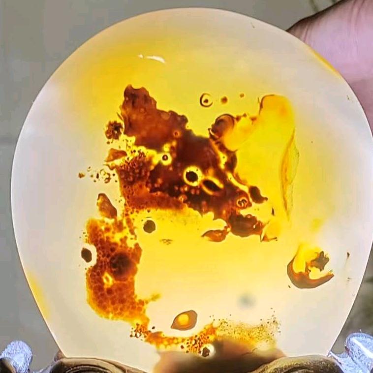 老周奇石分享铺