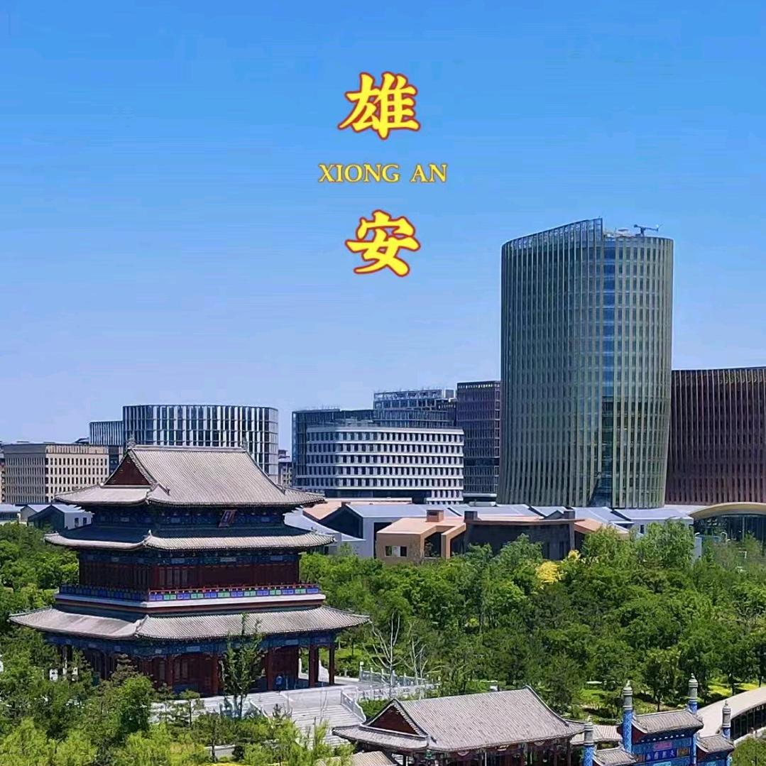 雄安中电建市场部经理大晨