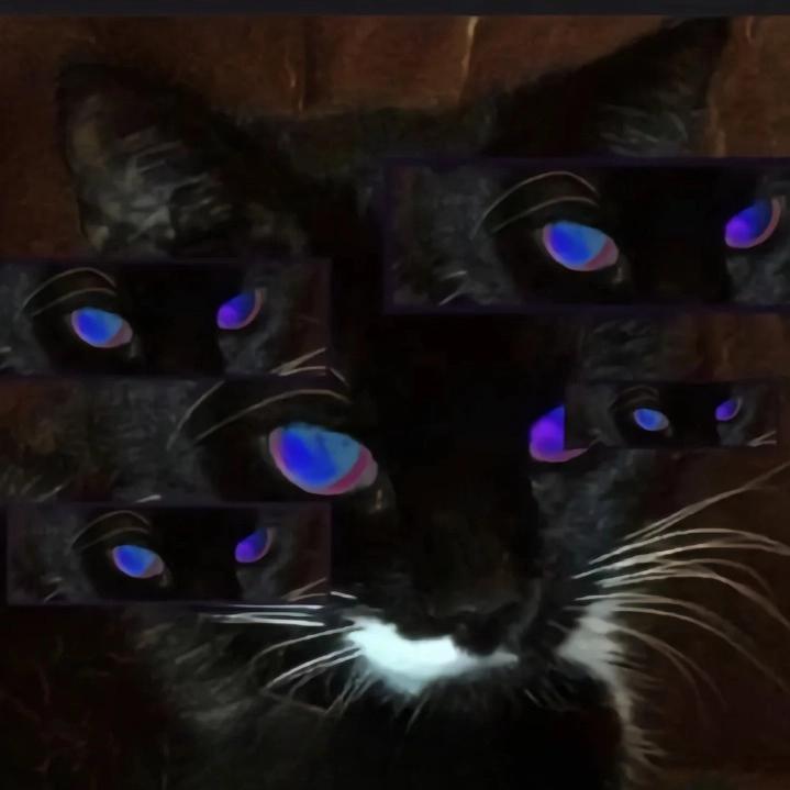 繁星落月可忆卿