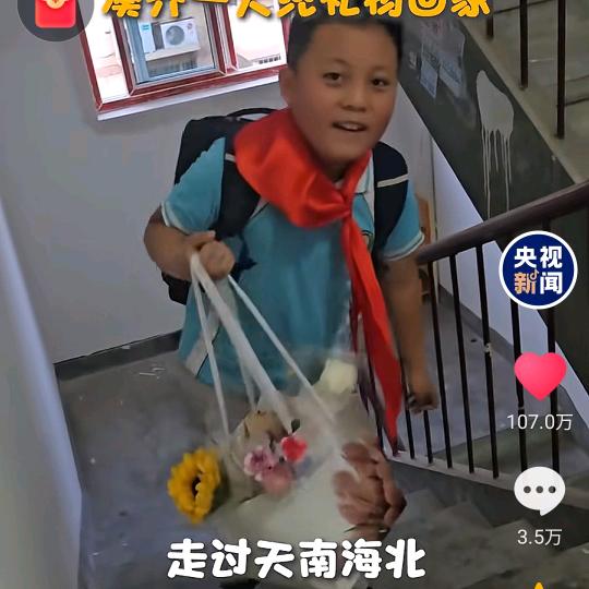树上结月饼🥮