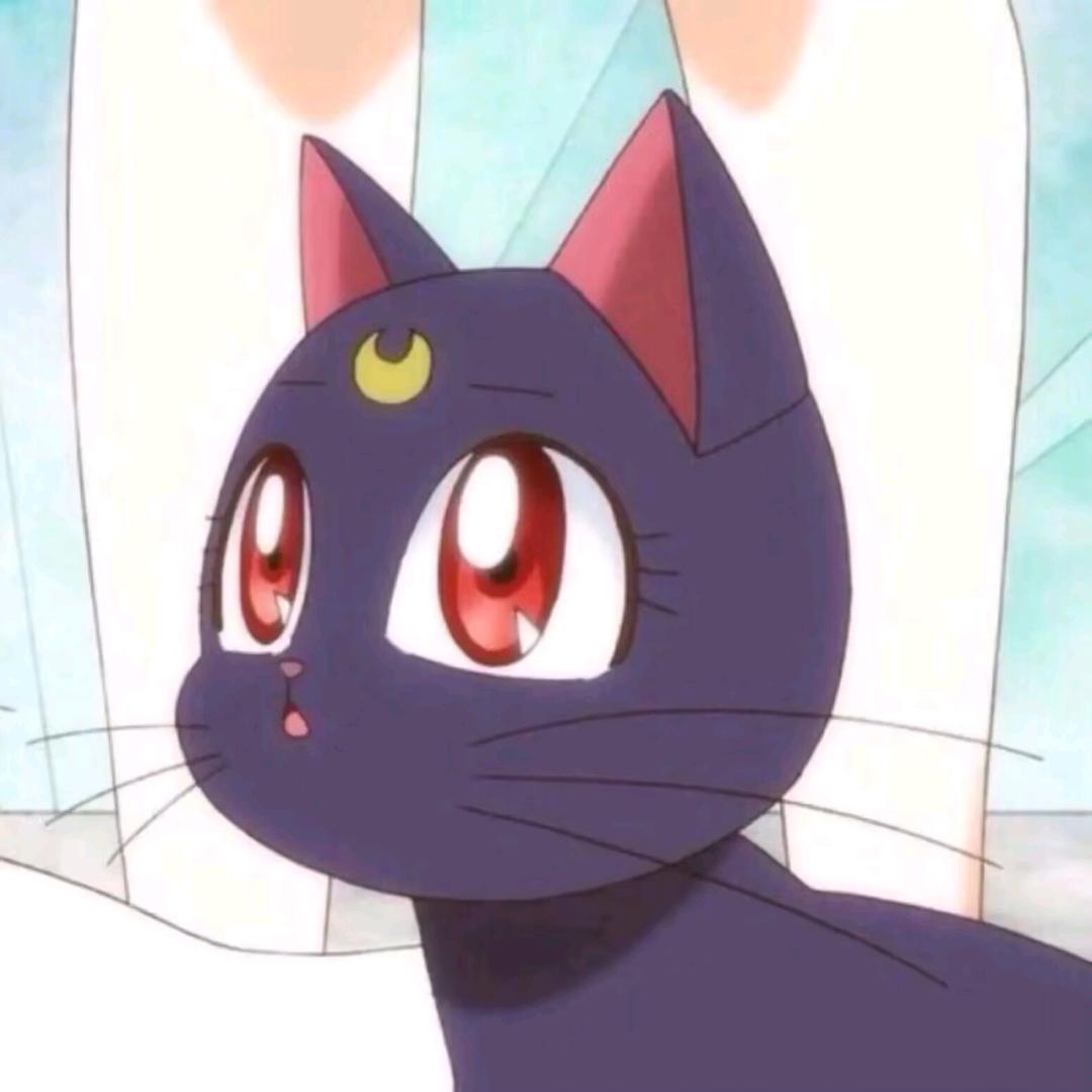 春花秋月