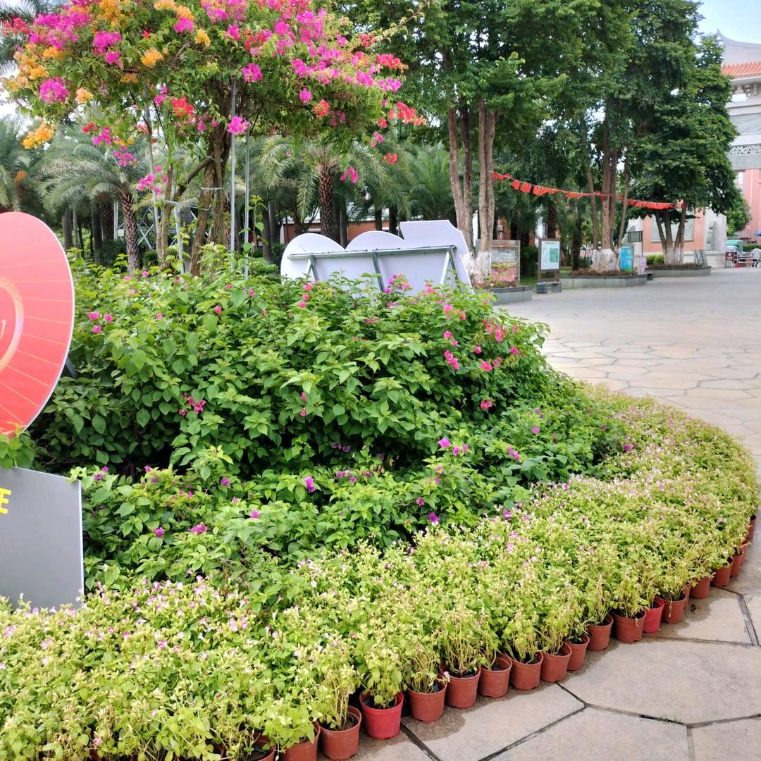 开心快乐每一天