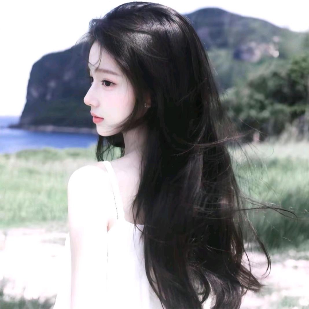 树立