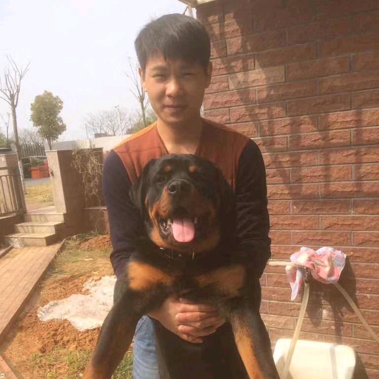 熊   大