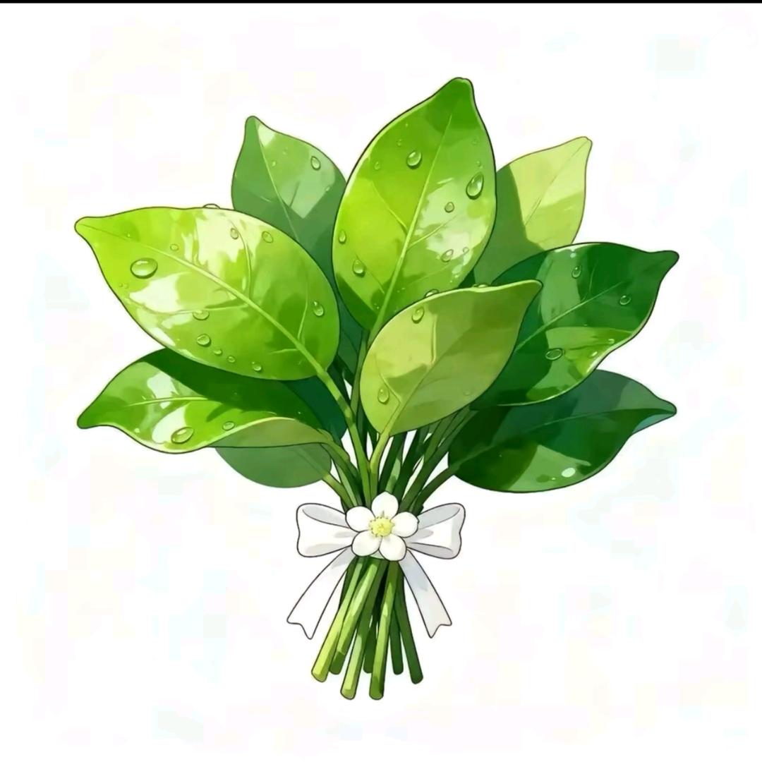 ꦿ᭄福满✨兜༉ᩚ᭄💕